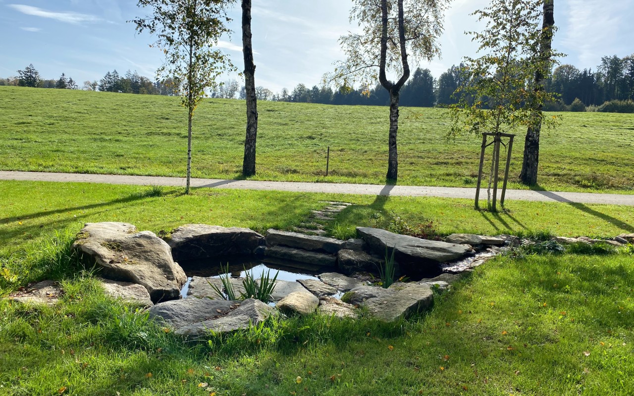 Bild Wasserpark