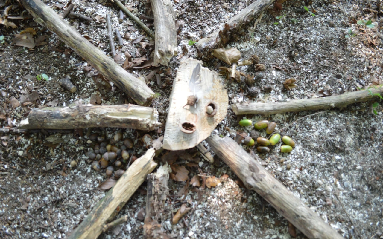 Bild Sternförmiges Kunstwerk der Patienten aus der Waldtherapie mit Ästen und alles was man so im Wald gefunden hat.