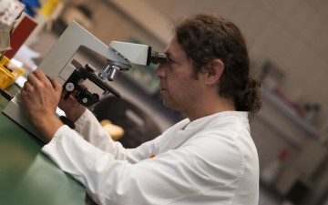 Bild Indikationen und Diagnostik