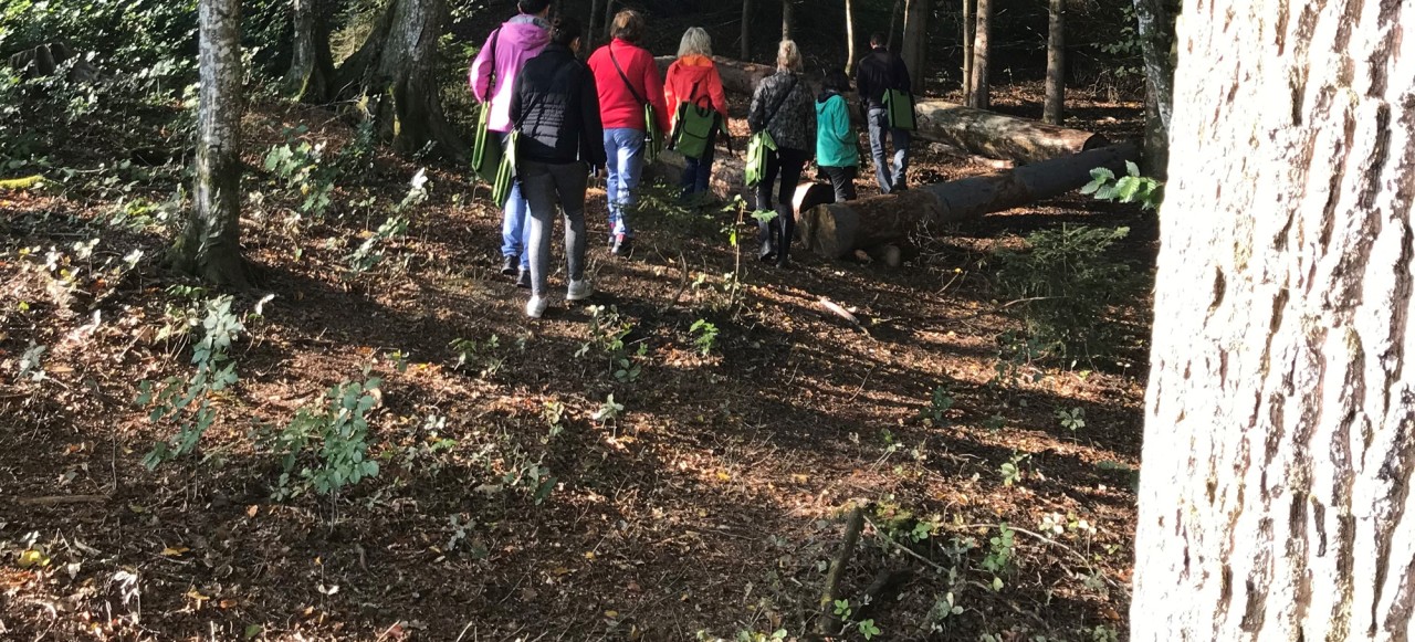 Waldtherapie - Klinik Prof. Schedel