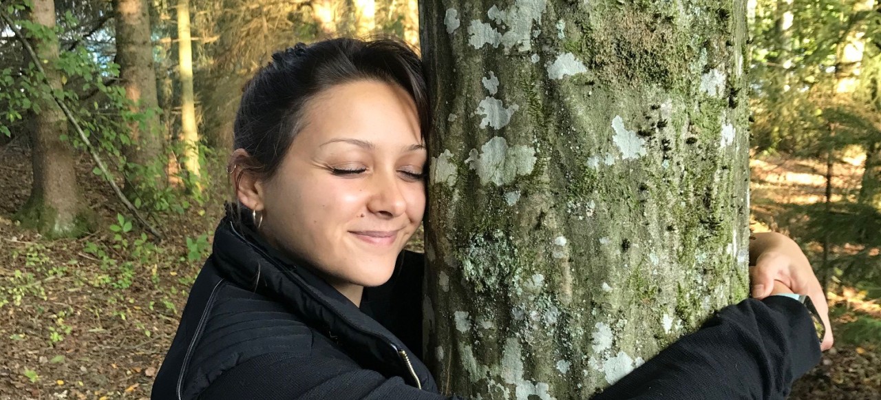 Waldtherapie - Klinik Prof. Schedel